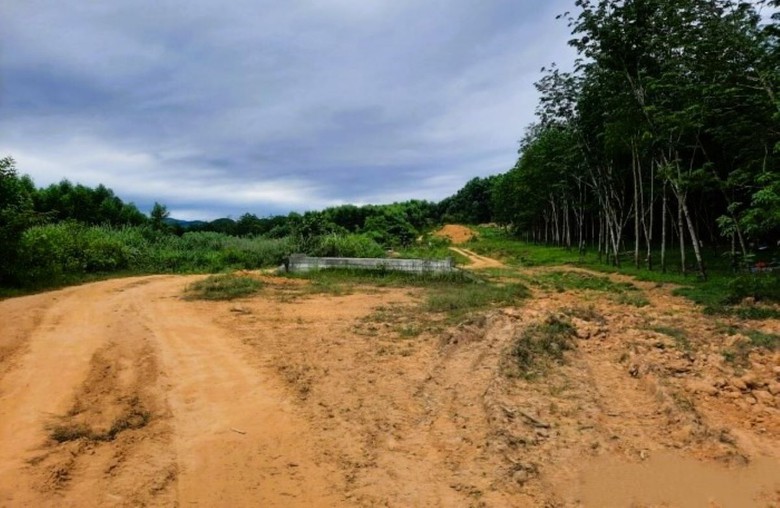 Cận cảnh tuyến đường nối đường Hồ Ch&iacute; Minh với QL9 ở Quảng Trị sau 4 năm triển khai- Ảnh 9.