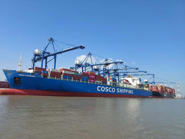 Kiểm so&aacute;t, ngăn ngừa dịch bệnh do virus Nipah ngay từ cửa khẩu, cảng biển- Ảnh 1.