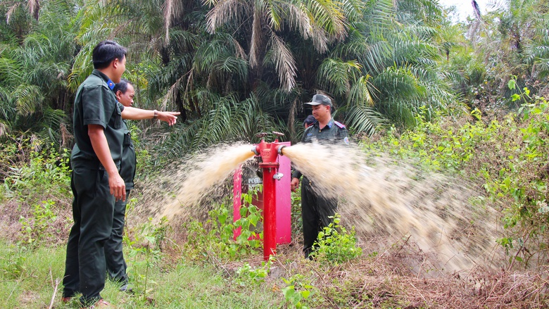 C&agrave; Mau đầu tư gần 20 tỷ đồng n&acirc;ng cấp đường v&agrave;o Vườn chim Bạc Li&ecirc;u- Ảnh 3.
