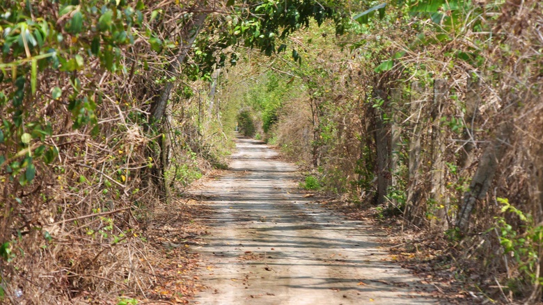 C&agrave; Mau đầu tư gần 20 tỷ đồng n&acirc;ng cấp đường v&agrave;o Vườn chim Bạc Li&ecirc;u- Ảnh 2.