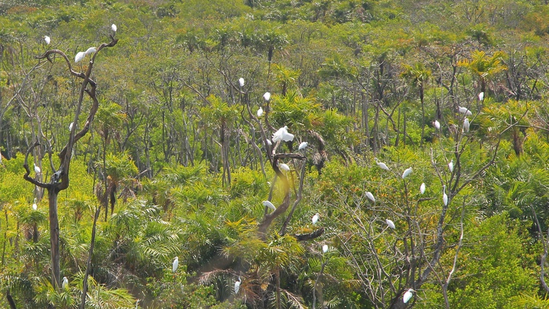 C&agrave; Mau đầu tư gần 20 tỷ đồng n&acirc;ng cấp đường v&agrave;o Vườn chim Bạc Li&ecirc;u- Ảnh 4.