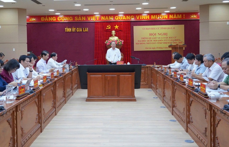 Gia Lai v&agrave; Quảng Trị c&ocirc;ng bố kết quả bầu cử- Ảnh 1.