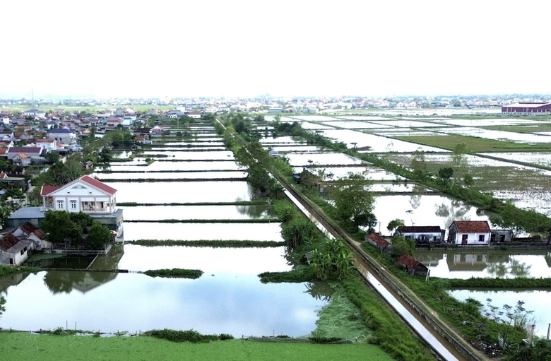 Nghệ An tăng tốc x&acirc;y dựng khu t&aacute;i định cư phục vụ dự &aacute;n đường sắt tốc độ cao- Ảnh 3.