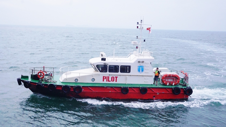 Chuẩn h&oacute;a đội ngũ hoa ti&ecirc;u, sẵn s&agrave;ng cho hải tr&igrave;nh mới- Ảnh 3.