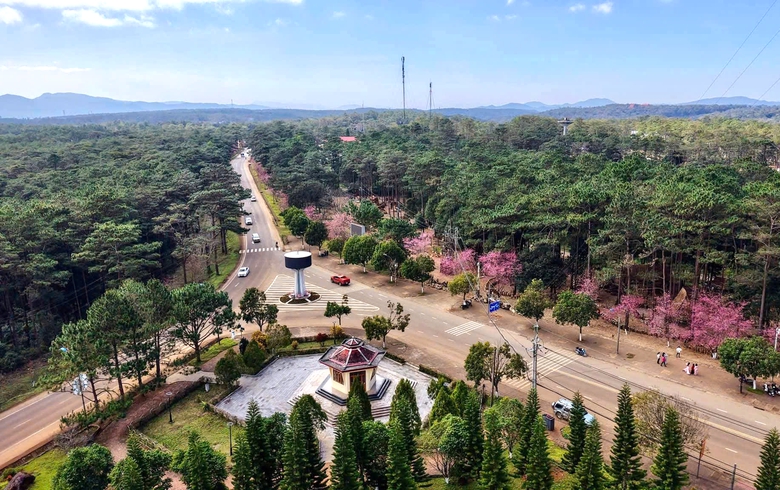 Quảng Ng&atilde;i: Sớm triển khai cao tốc Quảng Ng&atilde;i - Kon Tum v&agrave; n&acirc;ng cấp QL24- Ảnh 3.