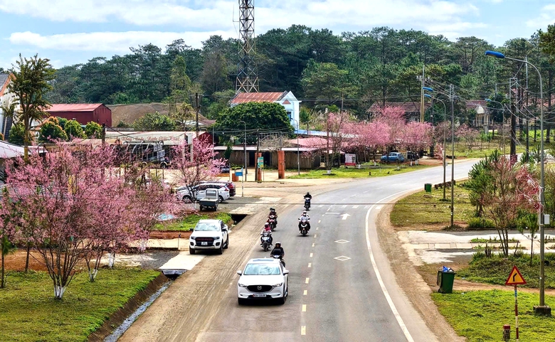 Quảng Ng&atilde;i: Sớm triển khai cao tốc Quảng Ng&atilde;i - Kon Tum v&agrave; n&acirc;ng cấp QL24- Ảnh 4.