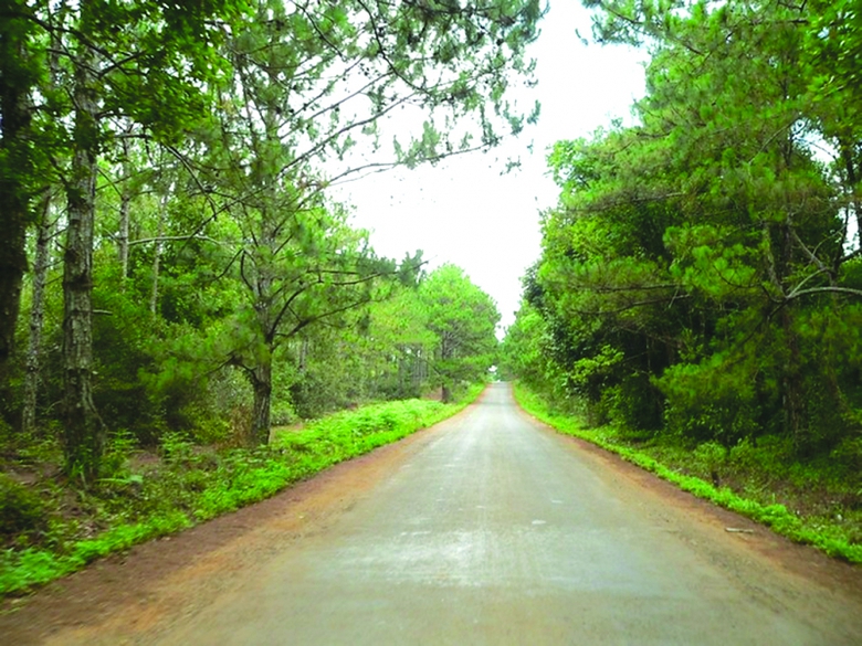 con đường tuyệt đẹp dẫn v&agrave;o Măng Đen