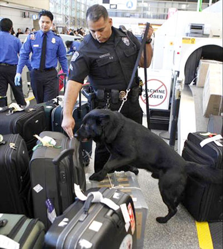 Cảnh sát Los Angeles kiểm tra an ninh tại Sân bay quốc tế Tom Bradley