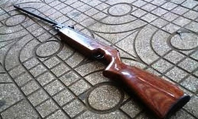 s&uacute;ng bắn chim