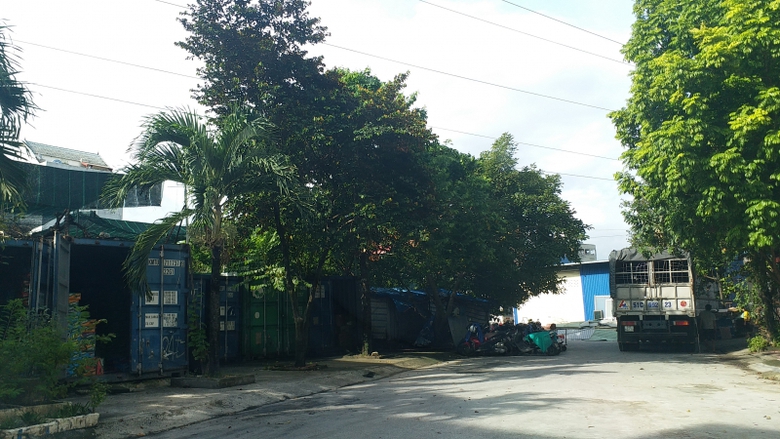 Dải c&acirc;y xanh dưới đường điện cao thế bị chiếm dụng