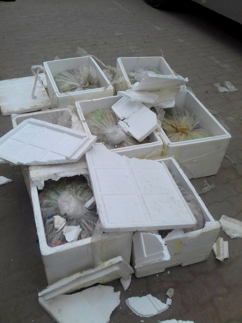 28081319_1739917006028639_1692357916_o