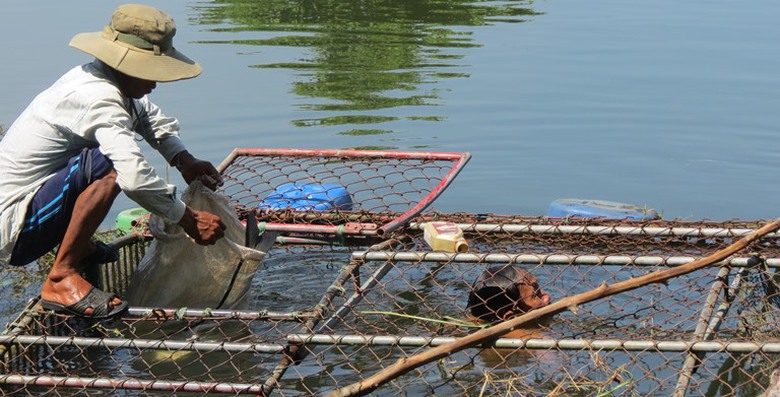 Ca- long- chet- hang- loat- tren- song- Bo- nghi- 