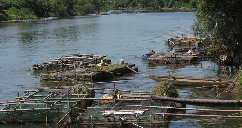 Ca- long- chet- hang- loat- tren- song- Bo- nghi- 
