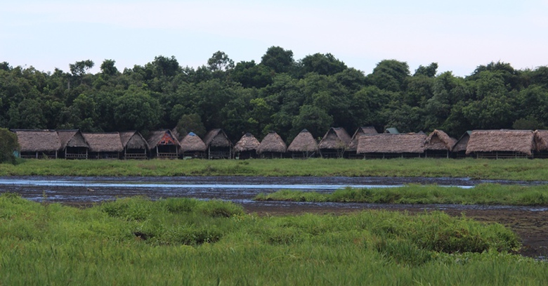Doc- dao- le- hoi- pha- tram- loi- bun- bat- ca- o