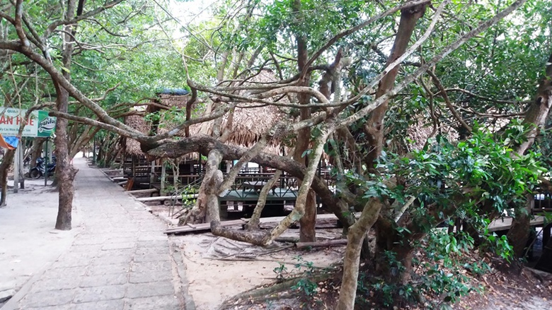 Doc- dao- le- hoi- pha- tram- loi- bun- bat- ca- o