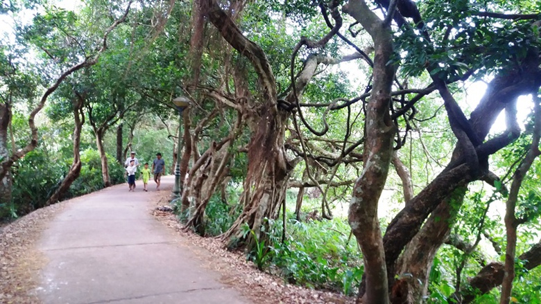 Doc- dao- le- hoi- pha- tram- loi- bun- bat- ca- o