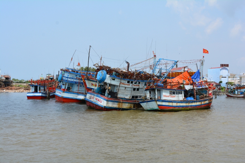 t&agrave;u c&aacute;11