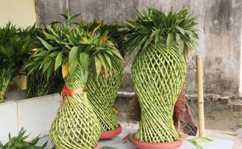 qua-tet-binh-than-2016-1