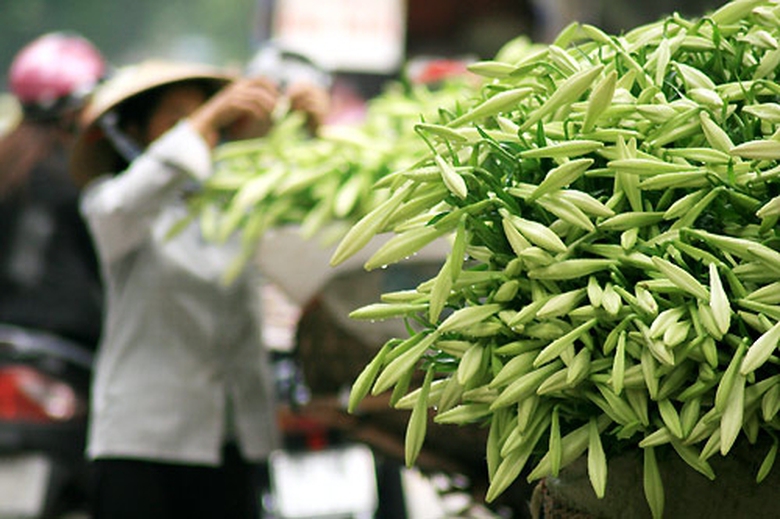 giua-tuan-ha-noi-hung-nang