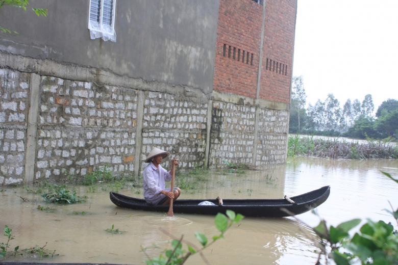 Lu-chong-lu-Binh-Dinh-ngup-lan-trong-dong-nuoc-bac