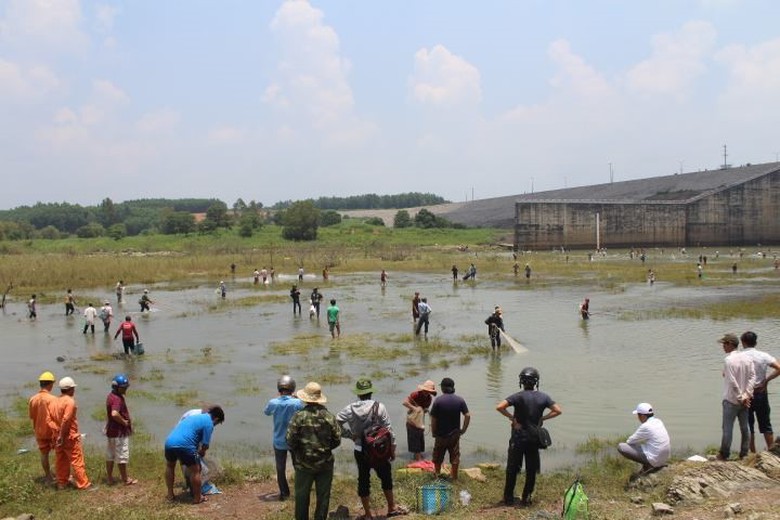 21397240_1499822400084887_1765472656_n