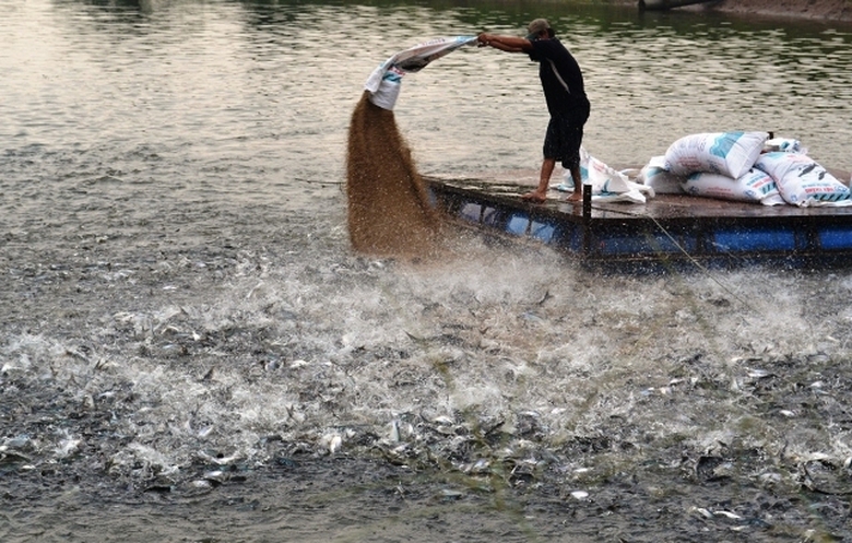 Trung-Quoc-tang-mua-ca-tra-nguyen-lieu-tang-gia