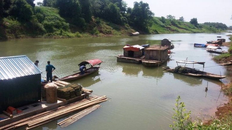 C&aacute; -lồng- chết -tr&ecirc;n- s&ocirc;ng- Bưởi- Đang- đi- t&igrave;m- n