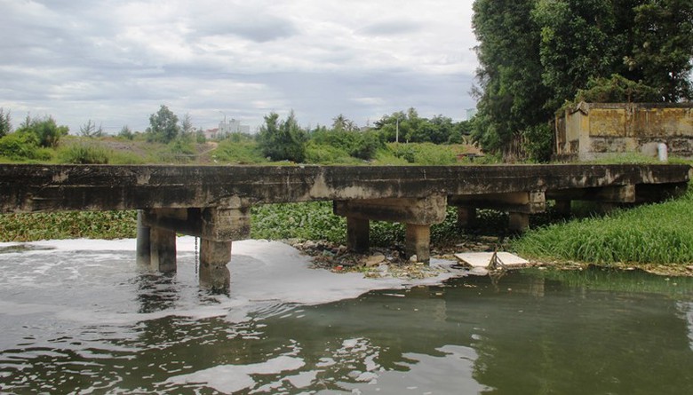 c&aacute; chết (5)