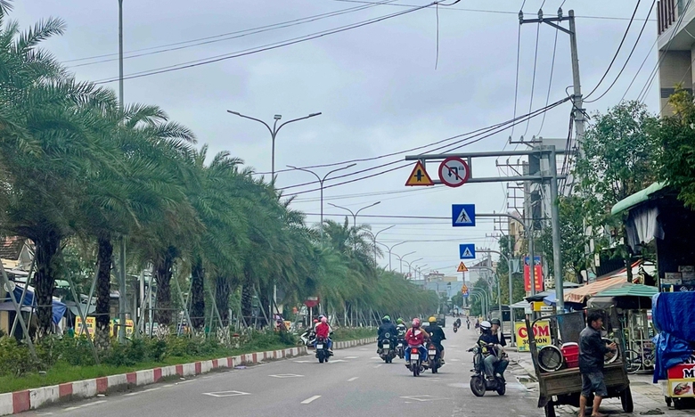 B&igrave;nh Định: Loạn biển b&aacute;o giao th&ocirc;ng