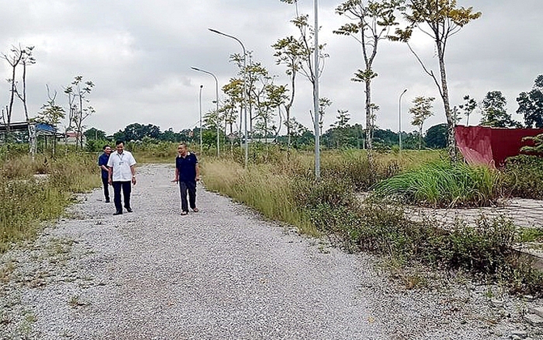 thai nguyen bai bo quy dinh rieng ve quan ly du an dau tu va xay dung dau thau su dung von nha nuoc