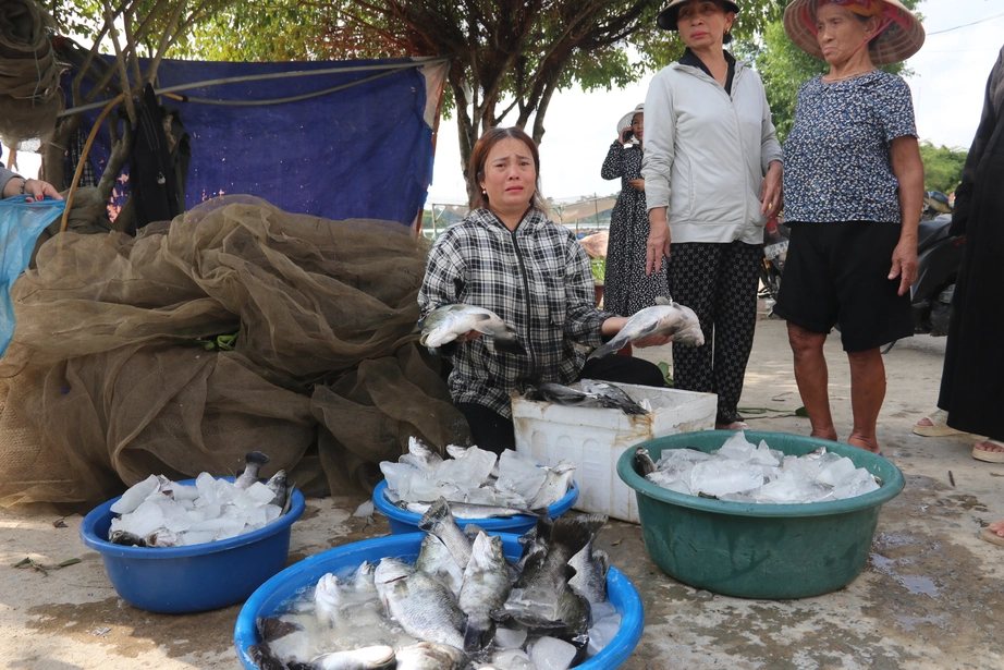 Hàng chục tấn cá nuôi lồng bè trên sông ở Hà Tĩnh chết do đâu? - Ảnh 2.