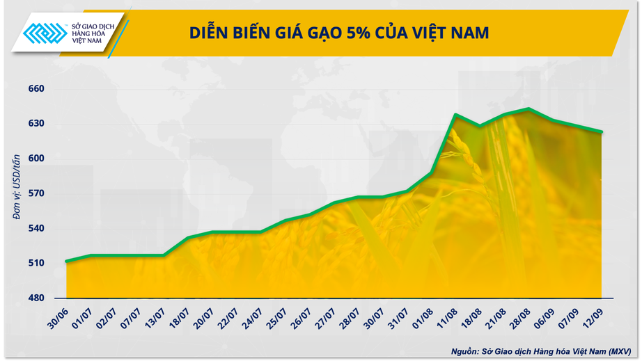 Giá gạo Việt xuất khẩu giảm mạnh, có giảm tiếp? - Ảnh 2.