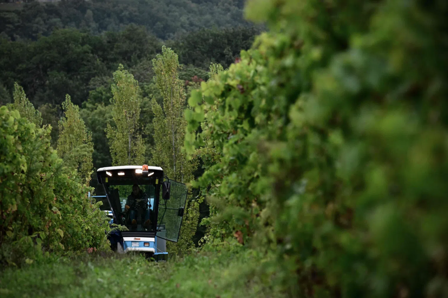 Khép lại kỷ nguyên vàng của nhà đầu tư Trung Quốc tại thủ phủ rượu vang Bordeaux- Ảnh 1. Khép lại kỷ nguyên vàng của nhà đầu tư Trung Quốc tại thủ phủ rượu vang Bordeaux- Ảnh 1.