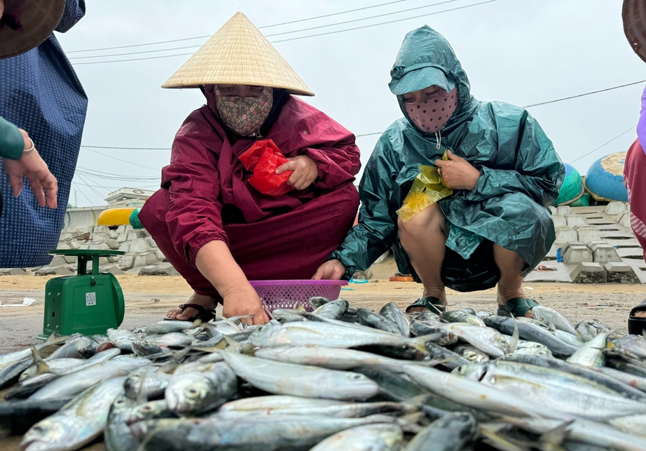 Chợ cá dập dềnh bên mép sóng trong ngày biển động- Ảnh 6.