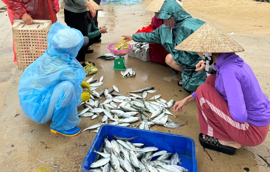 Chợ cá dập dềnh bên mép sóng trong ngày biển động- Ảnh 5.