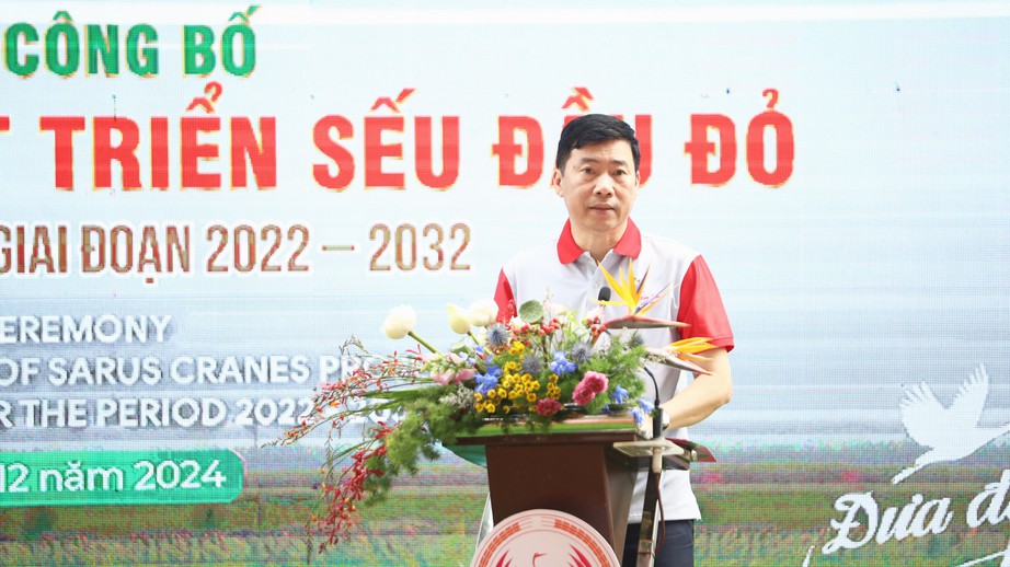 Đồng Tháp nỗ lực khôi phục đàn sếu đầu đỏ cho Vườn quốc gia Tràm Chim- Ảnh 1. Đồng Tháp nỗ lực khôi phục đàn sếu đầu đỏ cho Vườn quốc gia Tràm Chim- Ảnh 1.