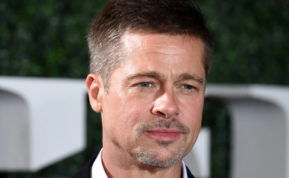 Brad Pitt là người cha tồi hay Angelina Jolie là người mẹ quỷ quái?- Ảnh 4.