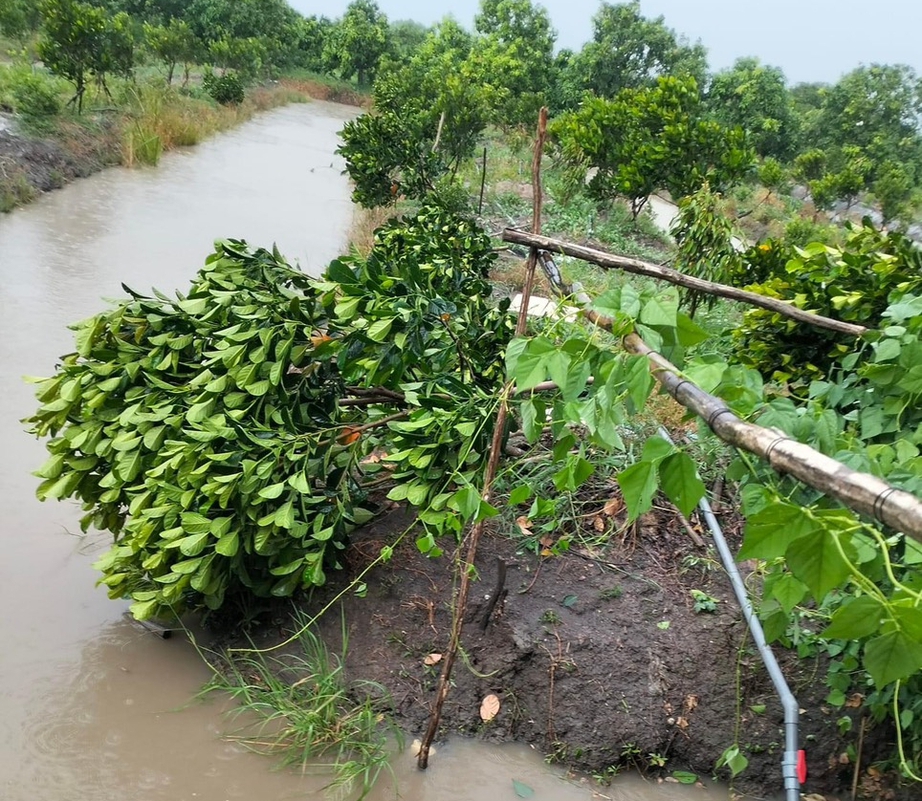 Mưa đá, dông lốc gây chết người ở Cần Thơ- Ảnh 3.