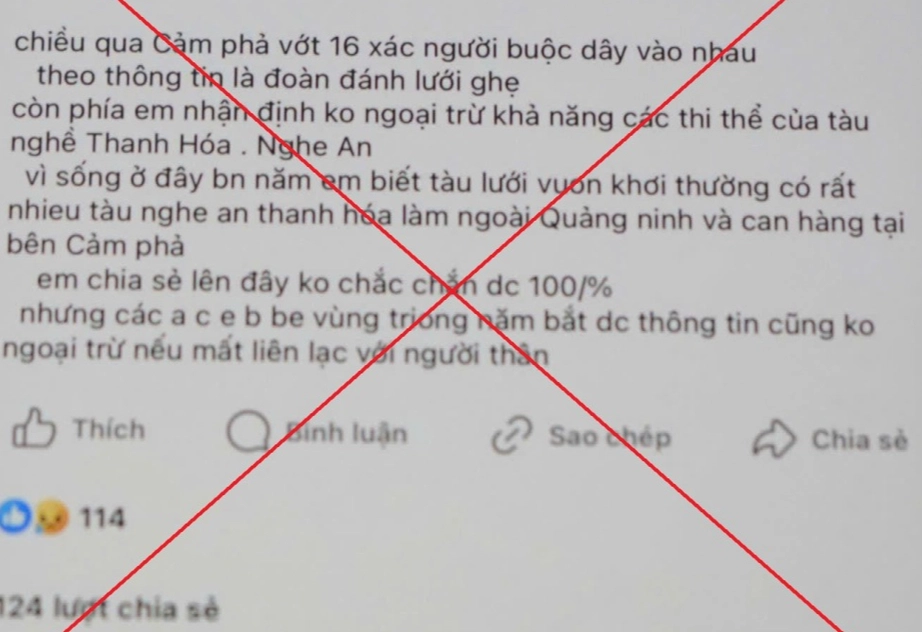 Phát hiện 2 thi thể mắc kẹt trong tàu chìm trên biển Hạ Long do bão số 3- Ảnh 2.