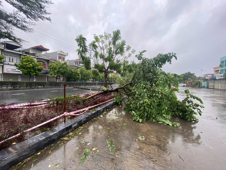 Nhiều cây cầu ở tâm bão Hải Phòng - Quảng Ninh cấm xe máy, xe thô sơ qua lại - Ảnh 2.