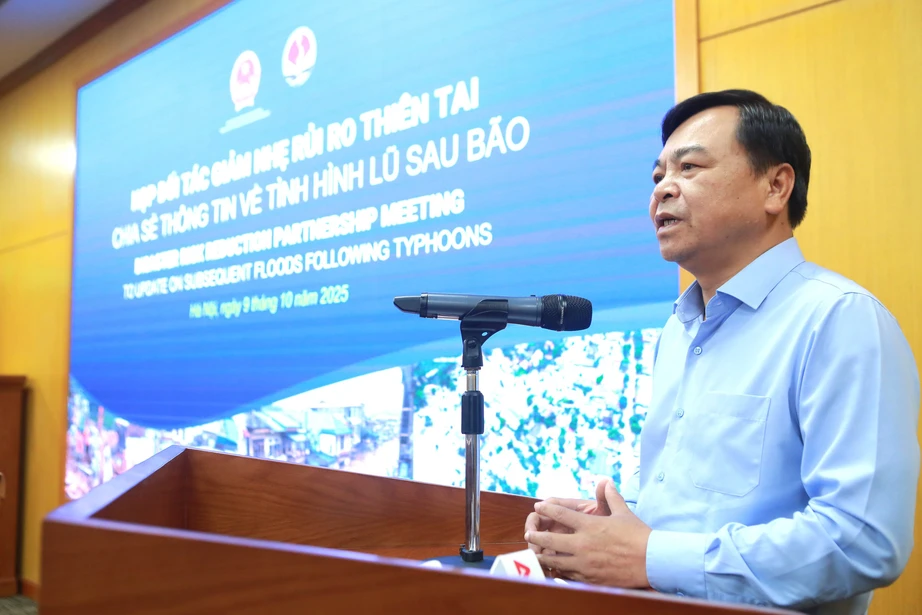 Việt Nam kêu gọi cứu trợ khẩn cấp từ cộng đồng quốc tế- Ảnh 3. Việt Nam kêu gọi cứu trợ khẩn cấp từ cộng đồng quốc tế- Ảnh 3.