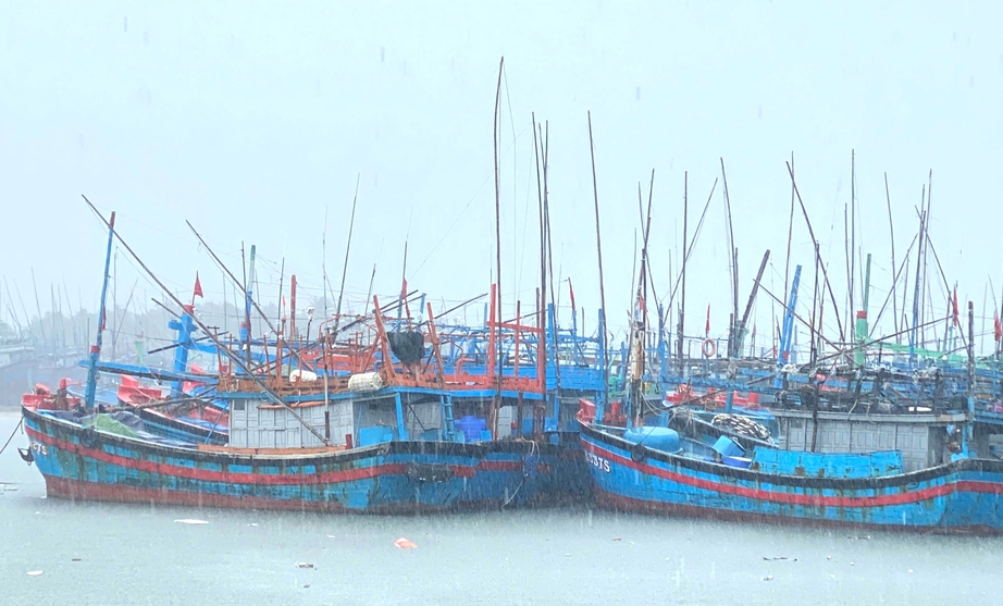 Ứng cứu khẩn cấp tàu cá Gia Lai gặp nạn giữa biển khơi- Ảnh 1.