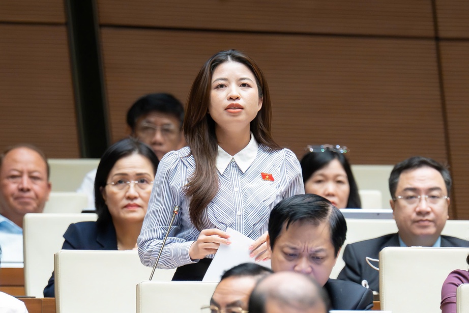 ĐBQH: Học sinh gây bạo lực học đường, cha mẹ không thể vô can- Ảnh 1.