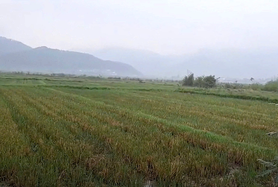 Nghệ An phát triển cụm công nghiệp thu hút đầu tư- Ảnh 3.