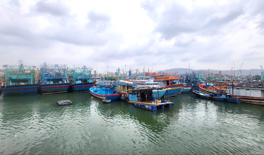 Bộ đội Biên phòng Gia Lai triển khai đồng bộ biện pháp ứng phó bão số 15- Ảnh 3.