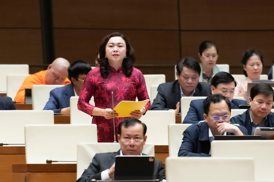 Đại biểu Quốc hội kiến nghị không truy thu thuế với bệnh viện công- Ảnh 4. Đại biểu Quốc hội kiến nghị không truy thu thuế với bệnh viện công- Ảnh 4.