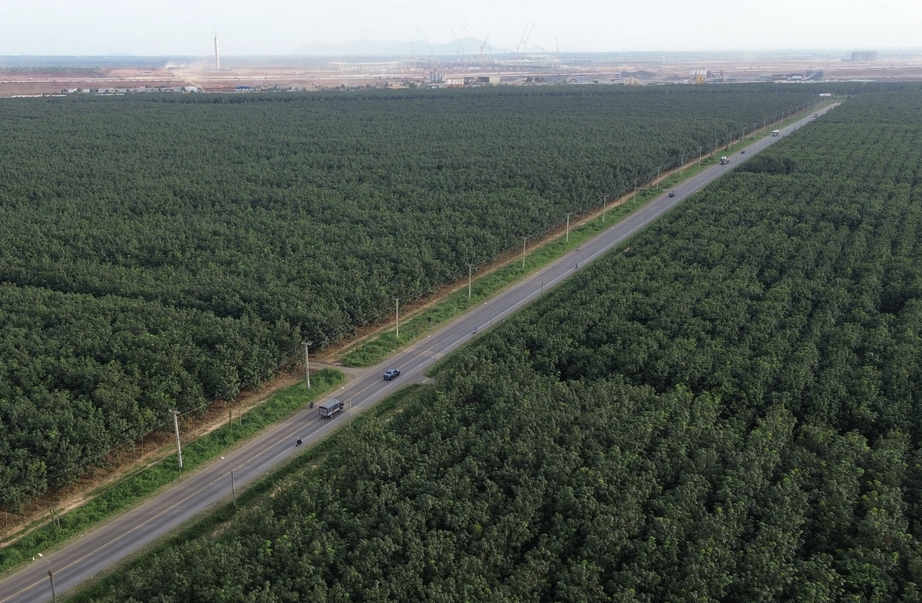 Đồng Nai: Xin bổ sung quy hoạch cầu vượt đường sắt tr&ecirc;n ĐT769 kết nối s&acirc;n bay Long Th&agrave;nh- Ảnh 1.