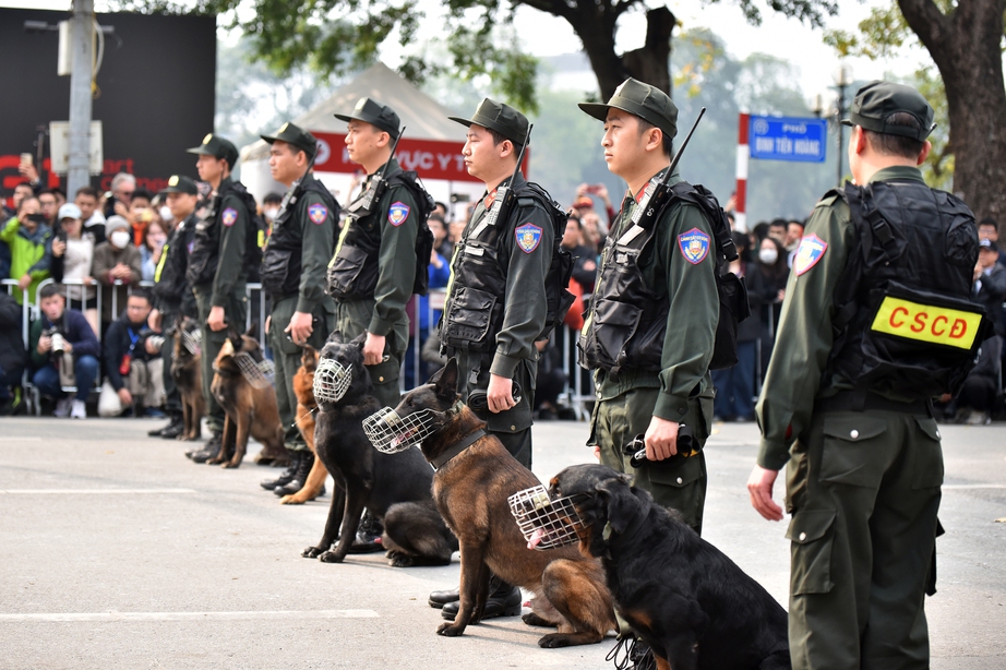 Mãn nhãn màn biểu diễn tấn công tội phạm của lực lượng cảnh khuyển, kỵ binh- Ảnh 6.