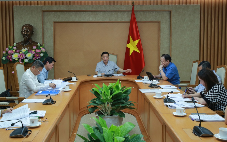 Phó Thủ tướng: Bố trí cây xanh đô thị phải có tầm nhìn, lựa chọn loại cây phù hợp- Ảnh 3. Phó Thủ tướng: Bố trí cây xanh đô thị phải có tầm nhìn, lựa chọn loại cây phù hợp- Ảnh 3.