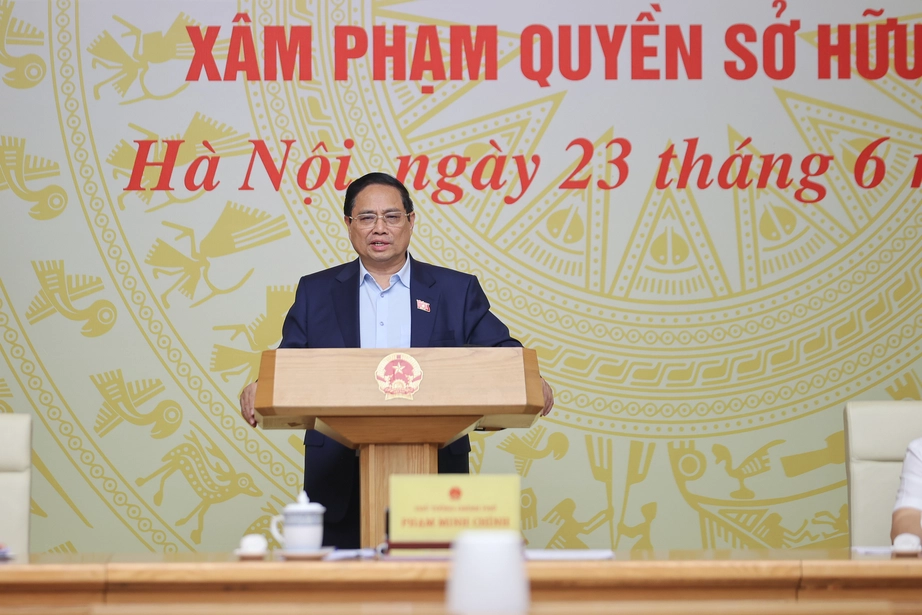 Thủ tướng: Chống hàng giả, hàng nhái không làm theo chiến dịch, mỗi ngày đều là cao điểm- Ảnh 1.